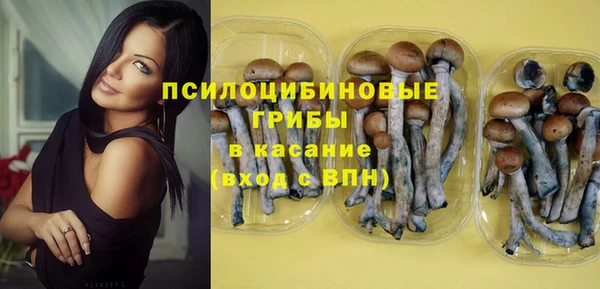 прущая мука Семёнов